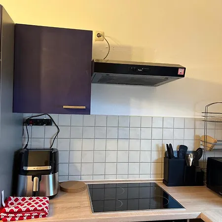 Ferienwohnung In Zwickau Apartmán
